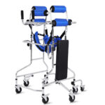 Hemiplegic-Walker.jpeg-adult-1.jpg